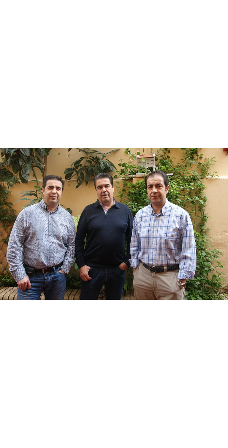 Sr. Rafael Giménez Díaz et alia