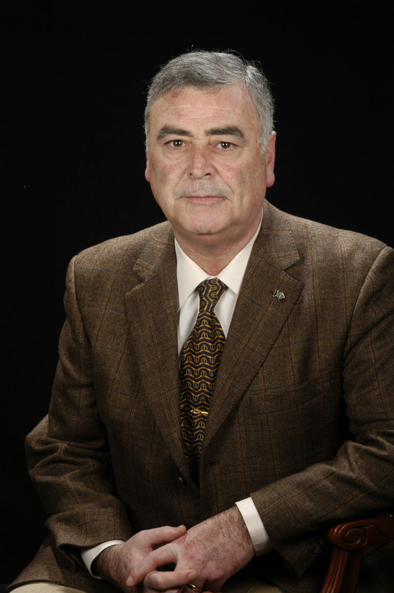 Sr. Luis Quesada Millán